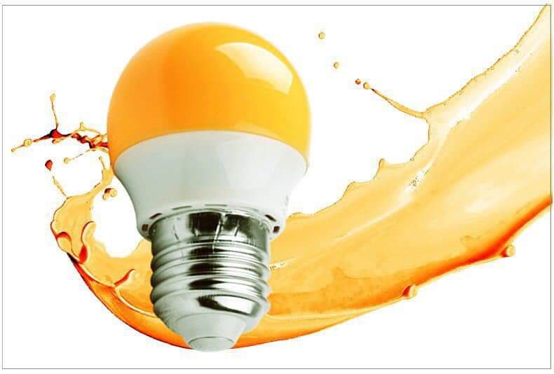 z1357543348025_1ceb9e5ad708fd08896a8e17679b2757